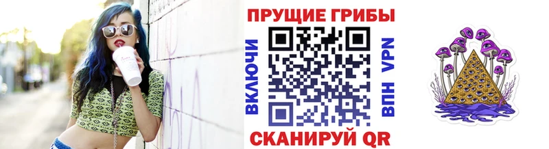 Купить закладки  Магас  Галлюциногенные грибы GOLDEN TEACHER 
