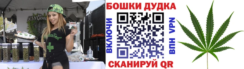 Каннабис конопля Магас